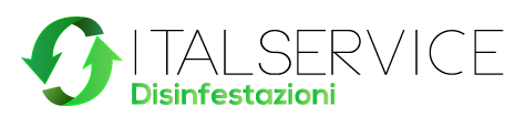 logo1